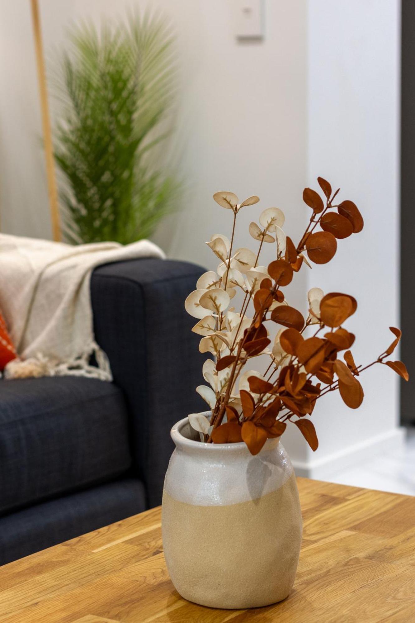 Modern City Lifestyle: 2 Bedroom 1 Bath Christchurch Ngoại thất bức ảnh